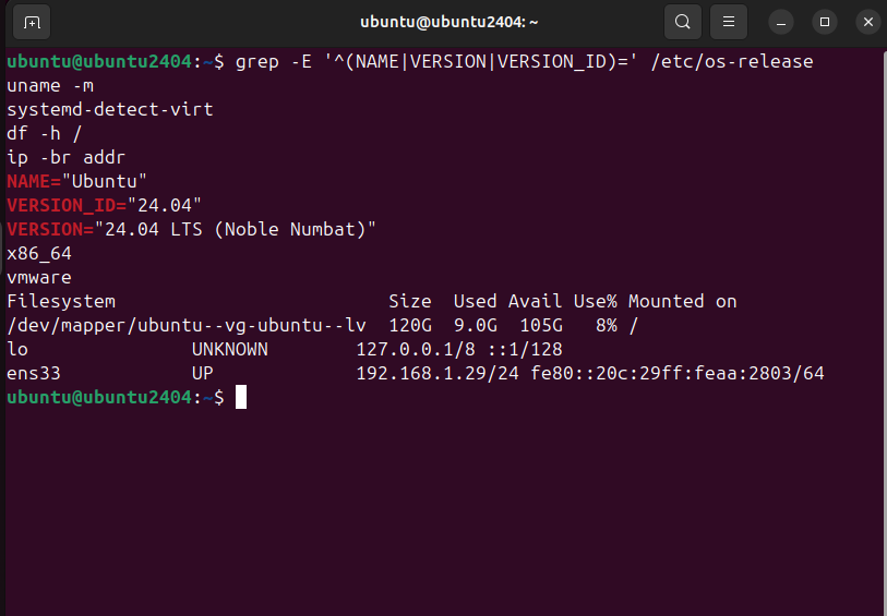 Ubuntu 终端中显示系统版本、VMware、磁盘和 NAT 地址