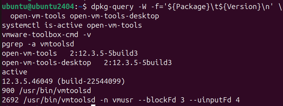 open-vm-tools 已安装且服务状态为 active