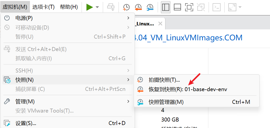 VMware 菜单中可以恢复到基础开发环境快照